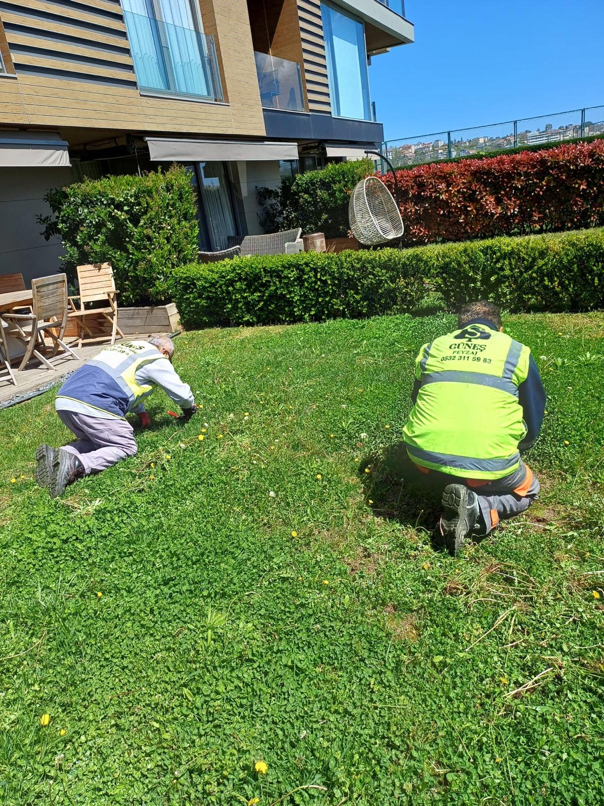 GÜNEŞ TARIM PEYZAJ VE TEMİZLİK